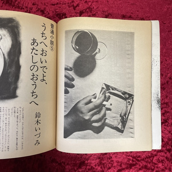 HEAVEN　No.5　1980年11月号　編集発行人：佐内順一郎　デザイン：羽良多平吉ほか