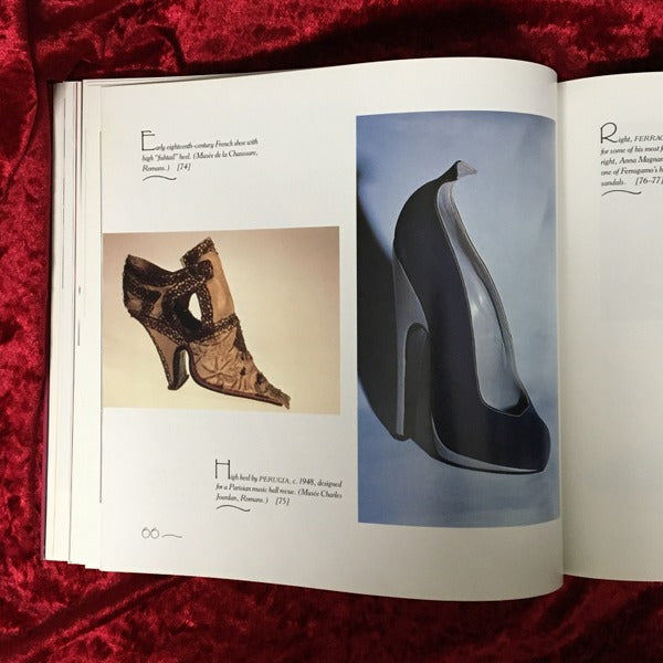 Heavenly Soles　Extraordinary 20th Century Shoes　洋書