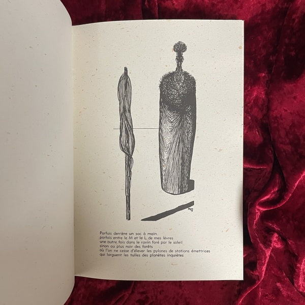 Les Spectres du Désert（砂漠の亡霊）　TOYEN　トワイヤン 洋書