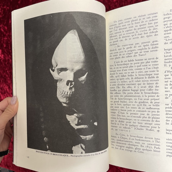 LE MUSEE DES VAMPIRES　洋書