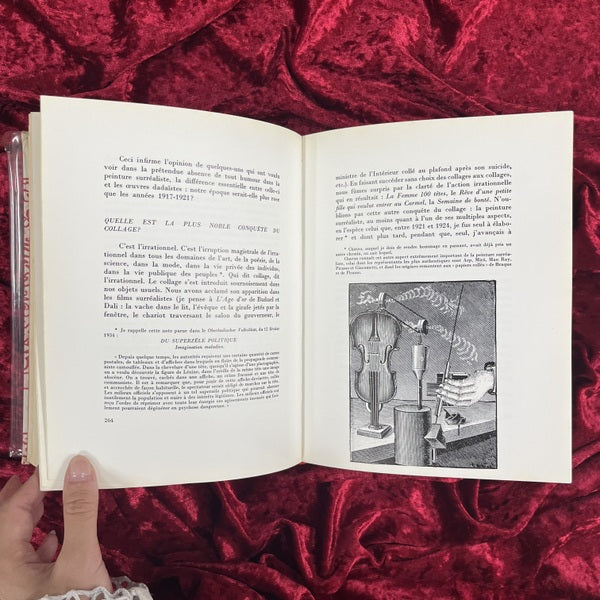 Écritures : avec cent vingt illustrations extraites de l'œuvre de l'auteur／マックス・エルンスト画文集