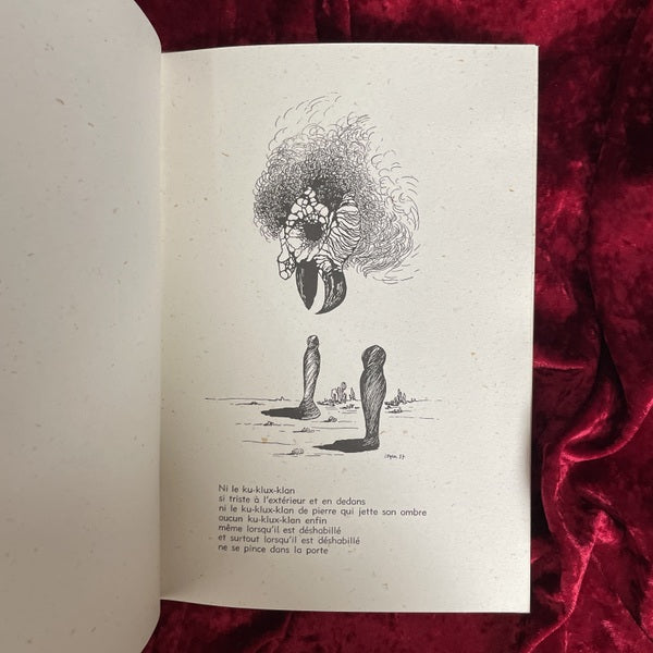 Les Spectres du Désert（砂漠の亡霊）　TOYEN　トワイヤン 洋書