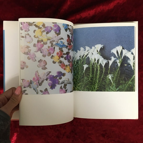 The eyes,the ears,　川内倫子 写真集