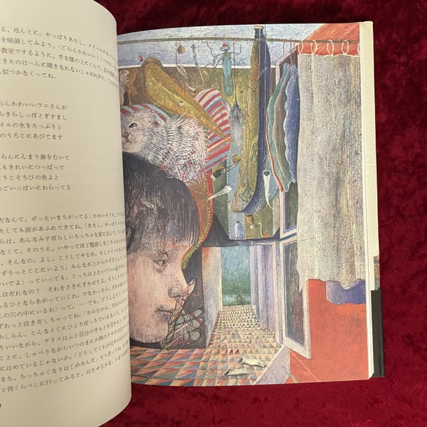 不思議の国のアリス ドゥシャン・カーライ 絵 ; 矢川澄子 訳