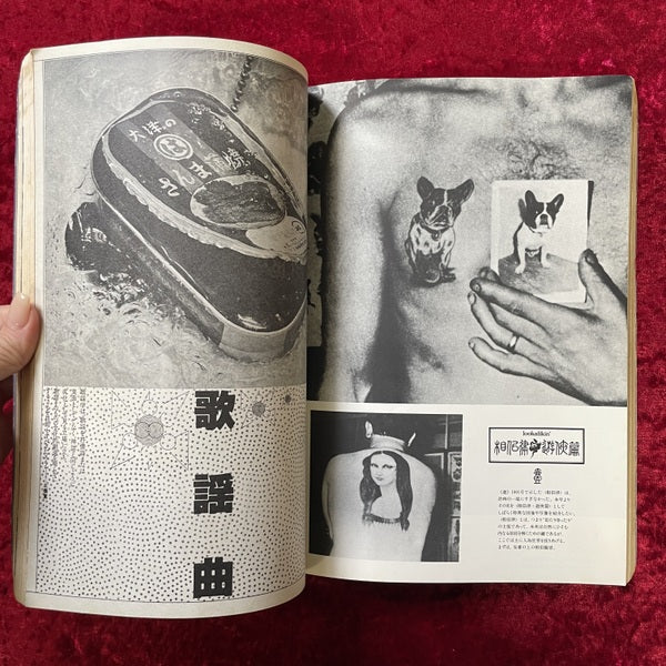 遊　1002号　1978-07
