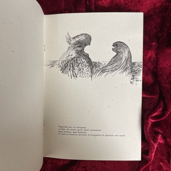 Les Spectres du Désert（砂漠の亡霊）　TOYEN　トワイヤン 洋書