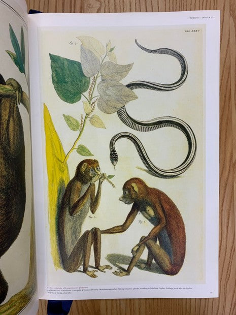 Cabinet of Natural Curiosities　the complete plates in colour 1734-1765　著：Albertus Seba　アルベルトゥス・セバ　博物図譜　洋書