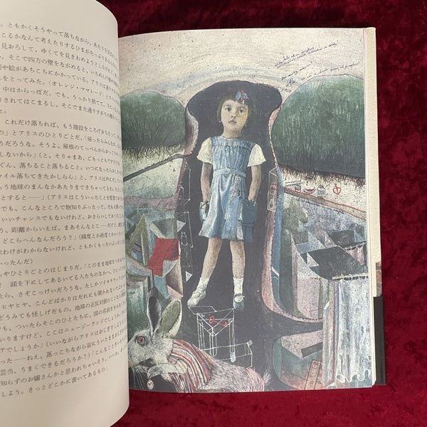 不思議の国のアリス ドゥシャン・カーライ 絵 ; 矢川澄子 訳