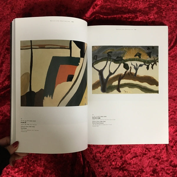 To see as artists see, American art from the Phillips Collection : モダン・アート, アメリカン : 珠玉のフィリップス・コレクション　展覧会図録