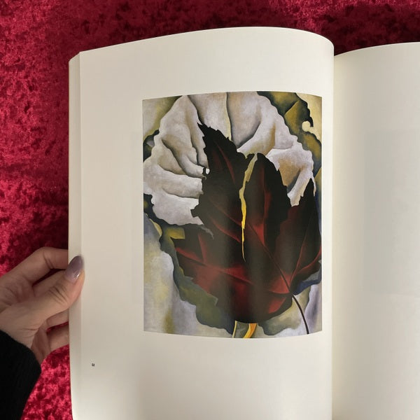 Two Lives, Georgia O'Keeffe & Alfred Stieglitz: A Conversation in Paintings and Photographs　ジョージア・オキーフ　アルフレッド・スティーグリッツ
