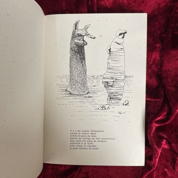 Les Spectres du Désert（砂漠の亡霊）　TOYEN　トワイヤン 洋書