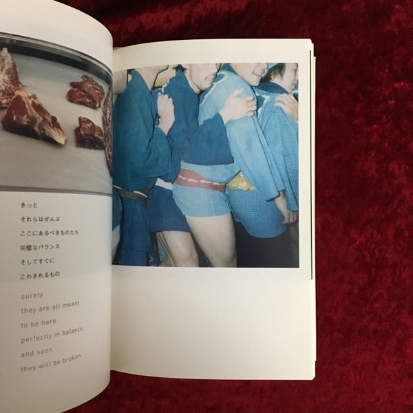 The eyes,the ears,　川内倫子 写真集