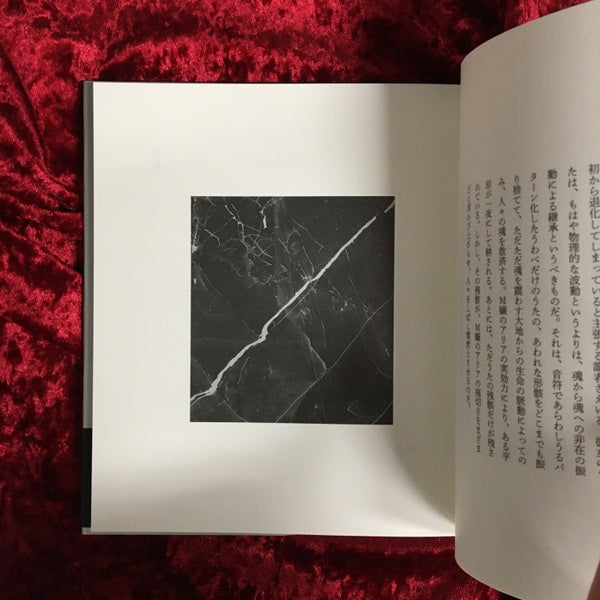 光の階梯/闇の折り目