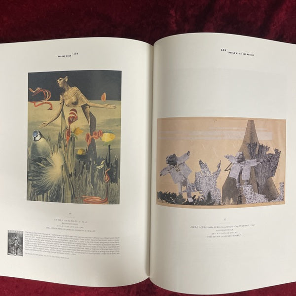 The Photomontages of Hannah Höch　洋書　ハンナ・ヘッヒ