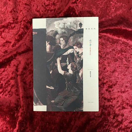 夜の夢こそまこと  横尾忠則、横尾美美