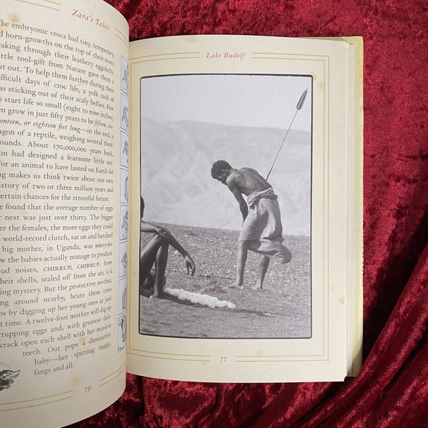Zara's Tales: Perilous Escapades in Equatorial Africa 洋書