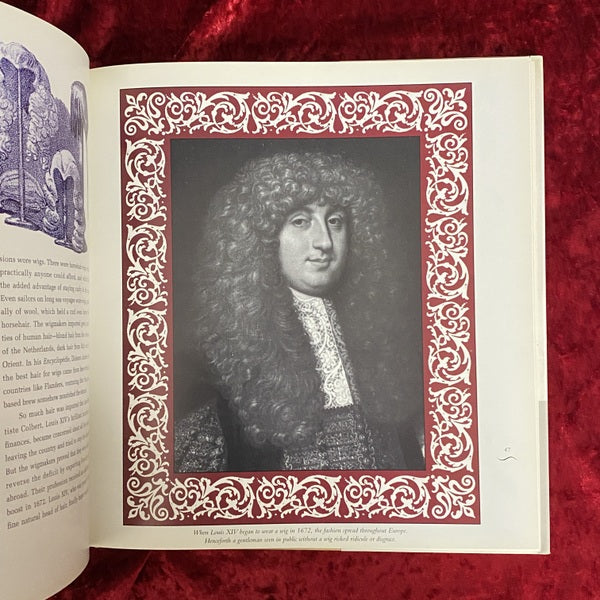 Daring Dos: History of Extraordinary Hair　洋書