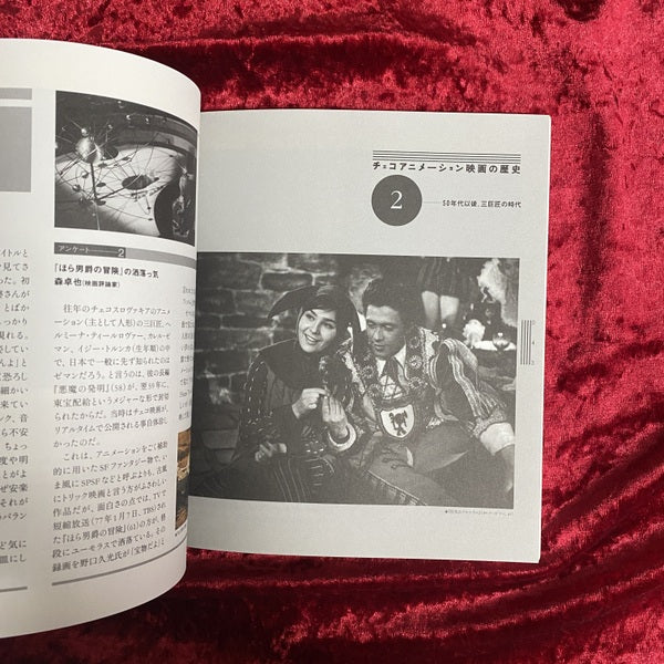 チェコアニメの巨匠たち : ティールロヴァートルンカゼマン以前以後