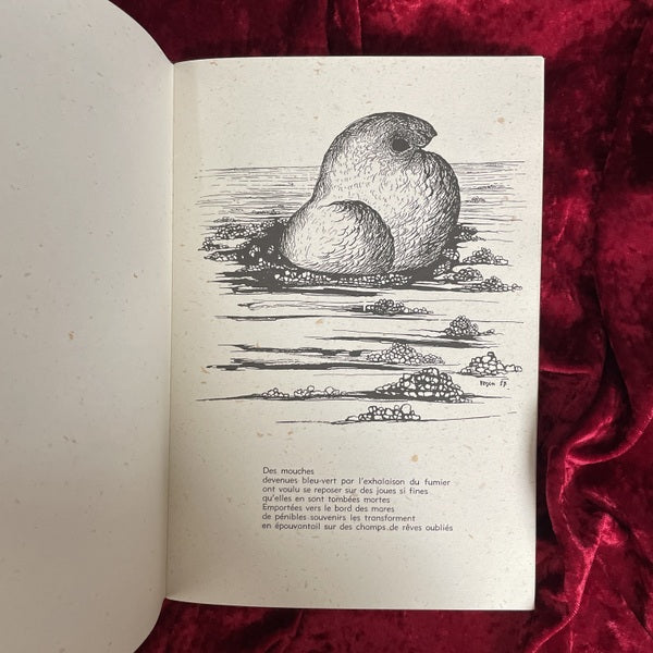 Les Spectres du Désert（砂漠の亡霊）　TOYEN　トワイヤン 洋書