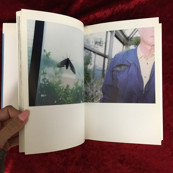 The eyes,the ears,　川内倫子 写真集