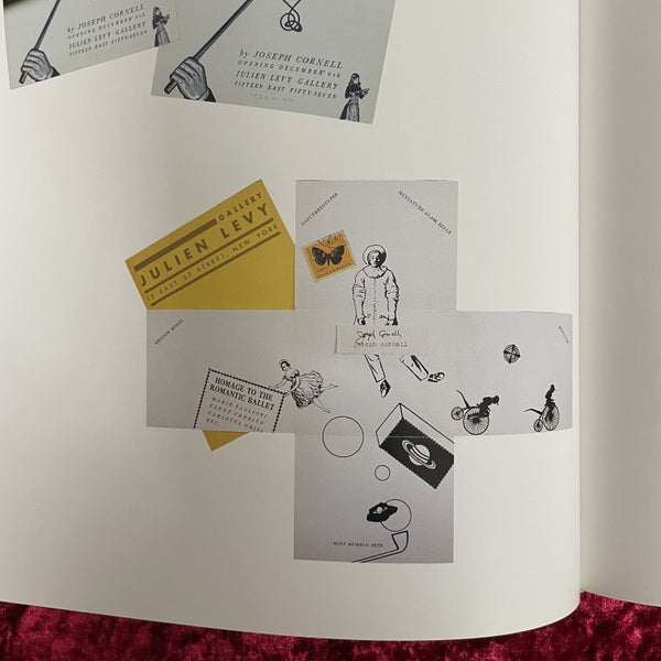 Joseph Cornell/Marcel Duchamp ...in resonance 洋書　ジョセフ・コーネル、マルセル・デュシャン