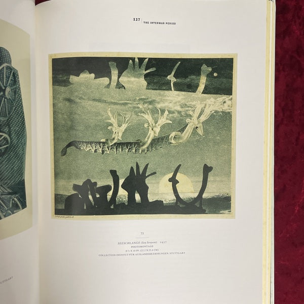 The Photomontages of Hannah Höch　洋書　ハンナ・ヘッヒ