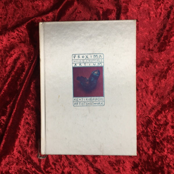 Proxima : invisible nuptials : Artium 2000 2001 Kenji Kobayashi　小林健二