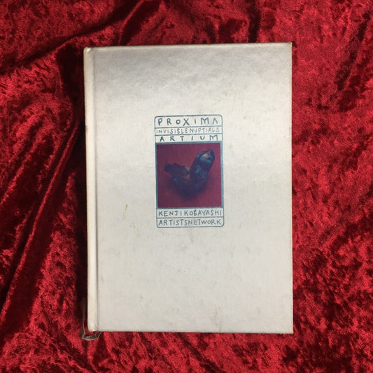 Proxima : invisible nuptials : Artium 2000 2001 Kenji Kobayashi　小林健二