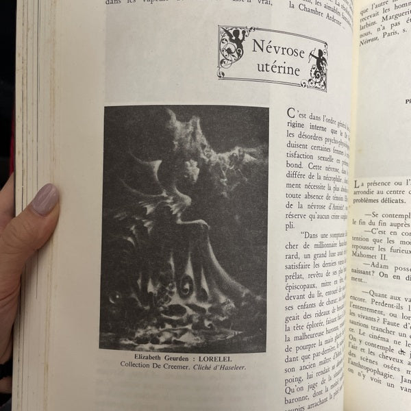 LE MUSEE DES VAMPIRES　洋書