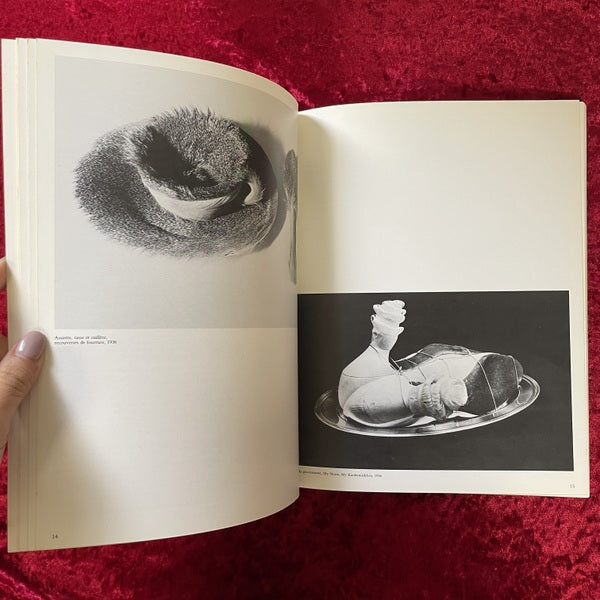 MERET OPPENHEIM 　メレット・オッペンハイム　1984　27 octobre - 10 décembre 1984　洋書
