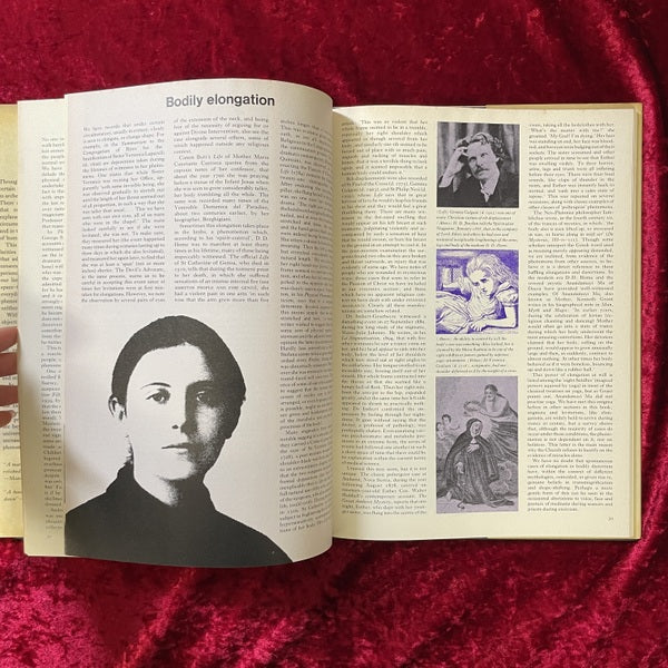 Phenomena: A Book of Wonders 洋書