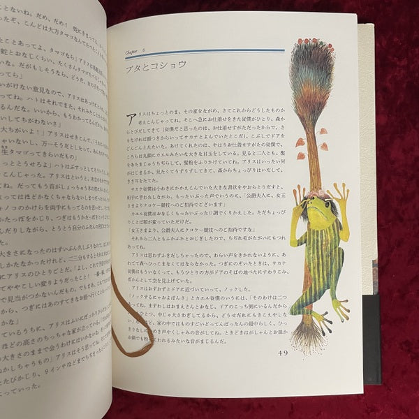 不思議の国のアリス ドゥシャン・カーライ 絵 ; 矢川澄子 訳