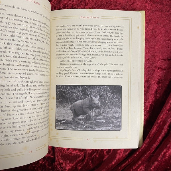 Zara's Tales: Perilous Escapades in Equatorial Africa 洋書