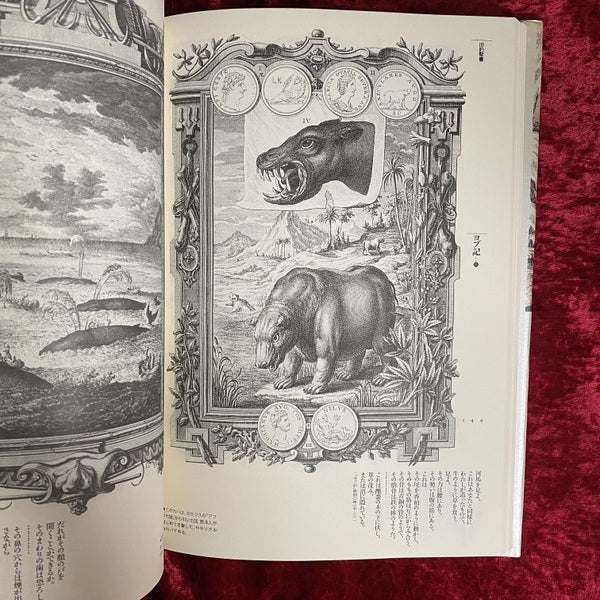 神聖自然学 ＜Fantastic dozen 第2巻＞