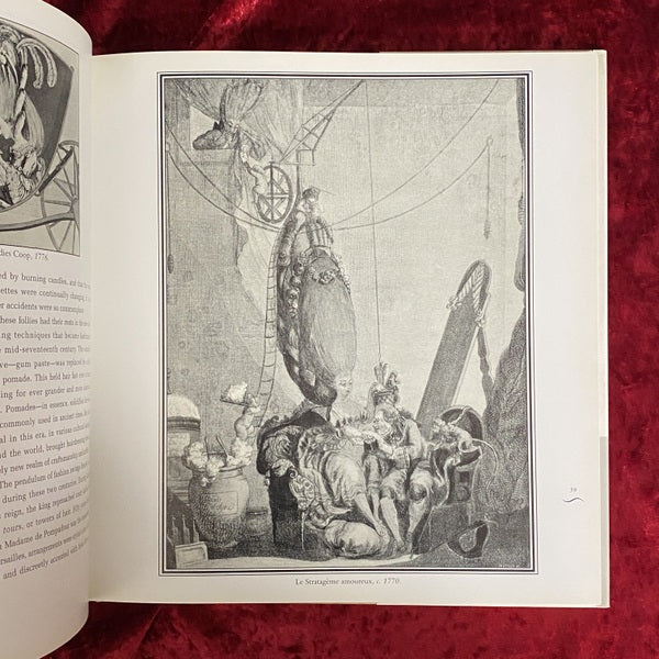 Daring Dos: History of Extraordinary Hair　洋書