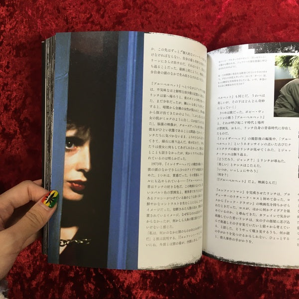 デイヴィッド・リンチ―幻想と混沌の美を求めて