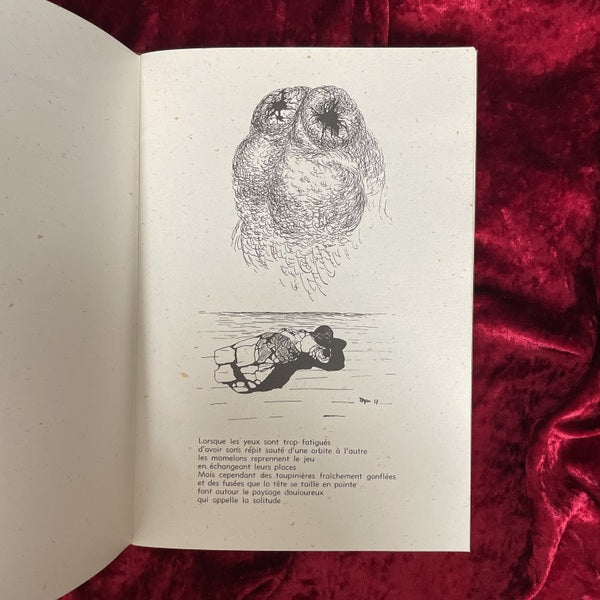 Les Spectres du Désert（砂漠の亡霊）　TOYEN　トワイヤン 洋書