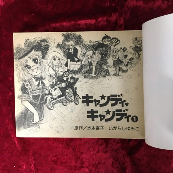 キャンディ　キャンディ　愛蔵版　1巻・2巻　全2冊セット