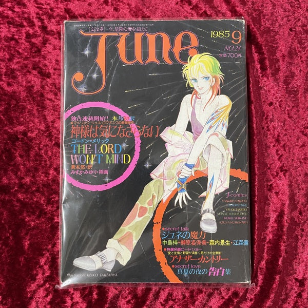 JUNE (1985年9月号 No.24)