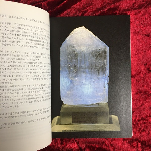 Proxima : invisible nuptials : Artium 2000 2001 Kenji Kobayashi　小林健二