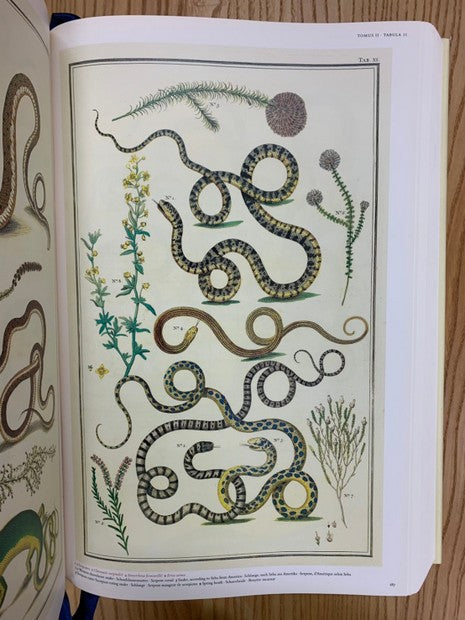 Cabinet of Natural Curiosities　the complete plates in colour 1734-1765　著：Albertus Seba　アルベルトゥス・セバ　博物図譜　洋書