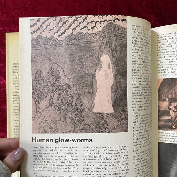 Phenomena: A Book of Wonders 洋書