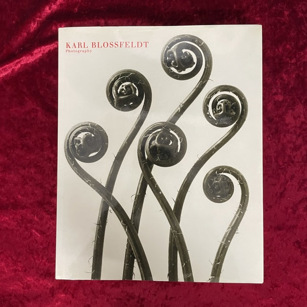 Karl Blossfeldt: Photography カール・ブロスフェルト 洋書