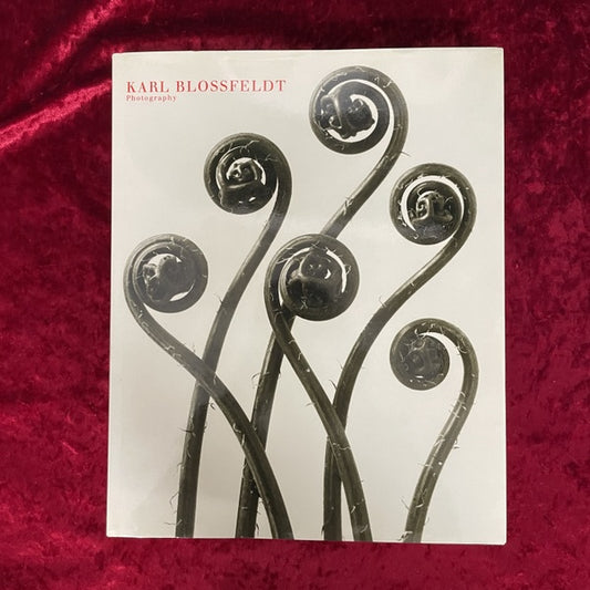 Karl Blossfeldt: Photography カール・ブロスフェルト 洋書