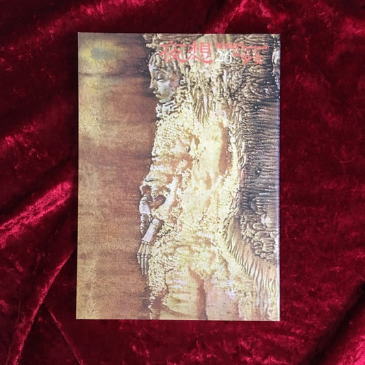 ＜夜想＞ 26　特集：少女