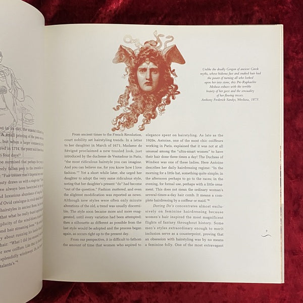 Daring Dos: History of Extraordinary Hair　洋書