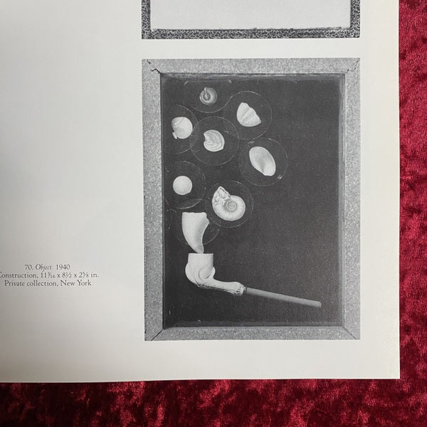 Joseph Cornell ジョセフ・コーネル　洋書