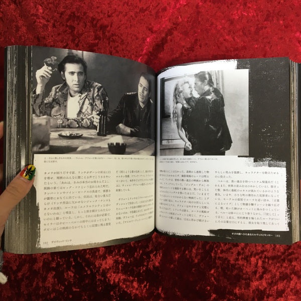 デイヴィッド・リンチ―幻想と混沌の美を求めて