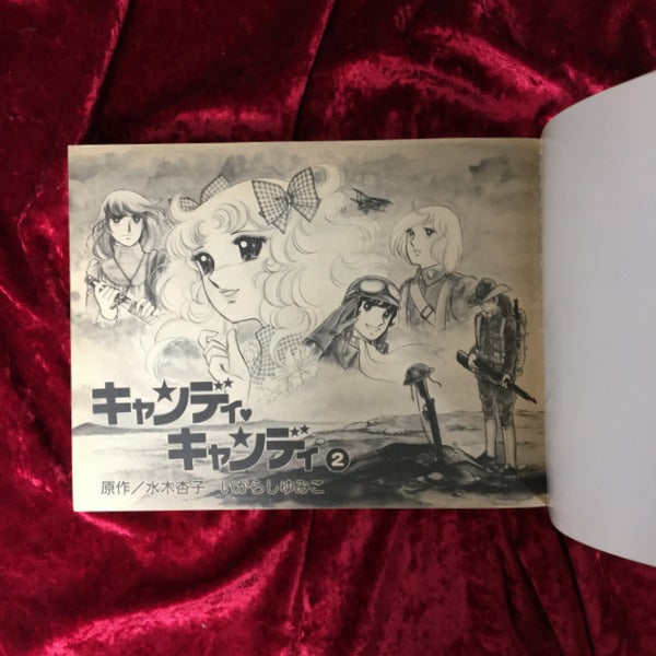 キャンディ　キャンディ　愛蔵版　1巻・2巻　全2冊セット