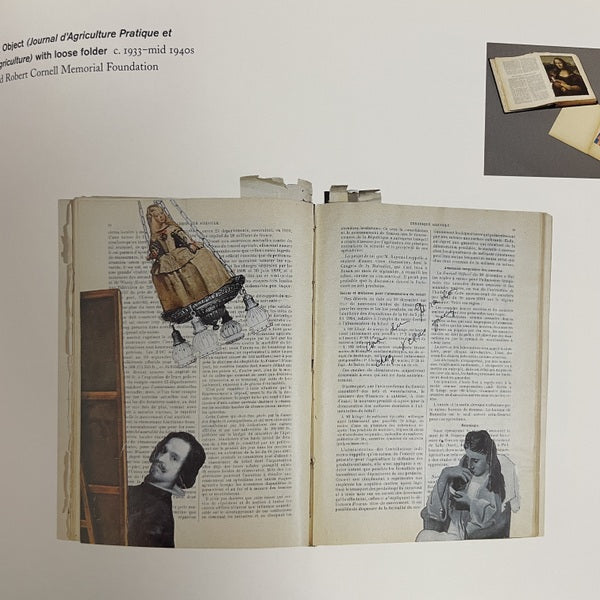 Joseph Cornell/Marcel Duchamp ...in resonance 洋書　ジョセフ・コーネル、マルセル・デュシャン